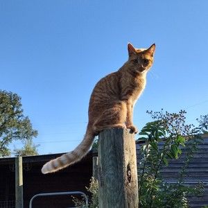 Meet your Posher, Julie C.